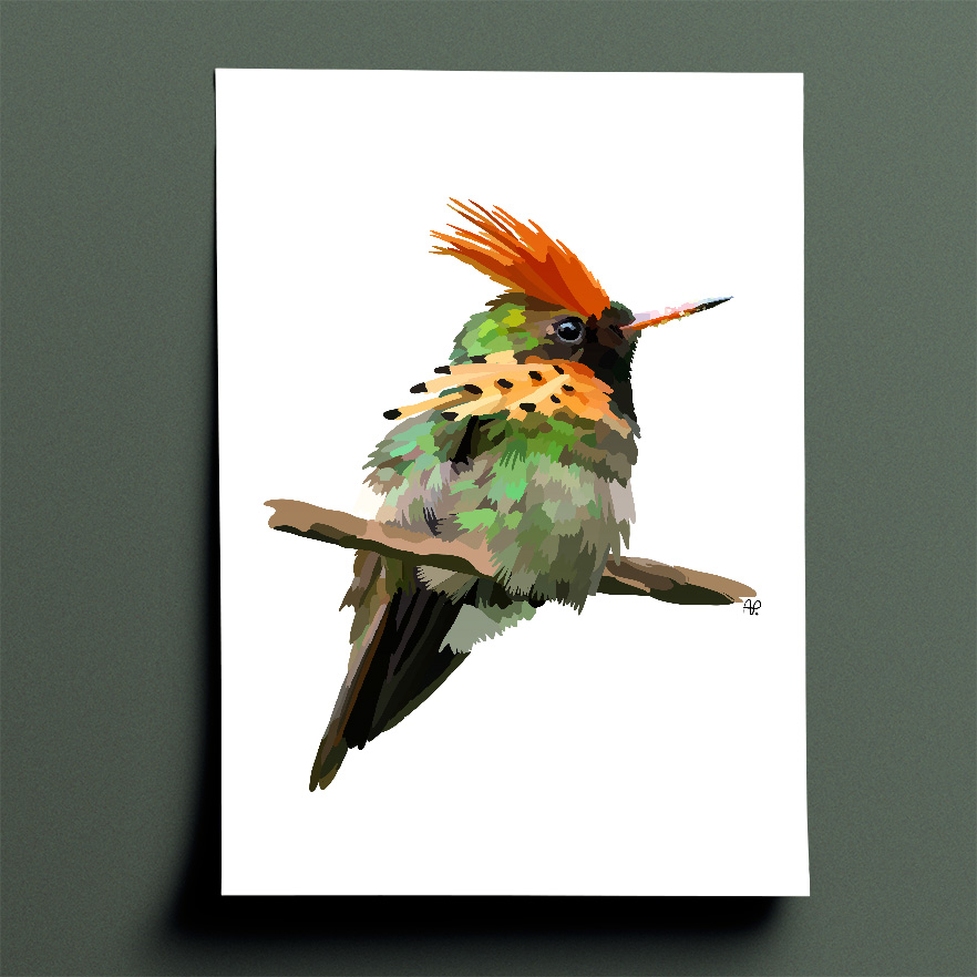 Amelia's interpenetration and vision of a Tufted Coquette in various shades of brown, green, orange, yellow and red done in a block, shaded patchwork type style. The drawing is angled so that you can see both the front and side of the bird who is perched on a branch and facing to the right of the page.