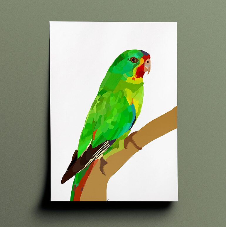 Amelia's interpenetration and vision of a swift parrot in various shades of green, yellow, red, blue and brown done in a block, shaded patchwork type style. The drawing is a side view of the bird who is perched on a branch facing to the right of the page.