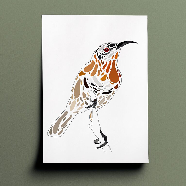 Amelia's interpenetration and vision of a western spinebill in various shades of brown, grey and black done in a terrazzo type style. The drawing is a side view of the bird perched on a branch facing to the right of the page.
