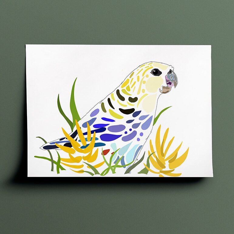 Amelia's interpenetration and vision of a pale-headed parrot in various shades of yellow, green, grey, blue and red done in a terrazzo type style. The drawing is a side view of the bird perched in leaves and flowers facing to the right of the page.