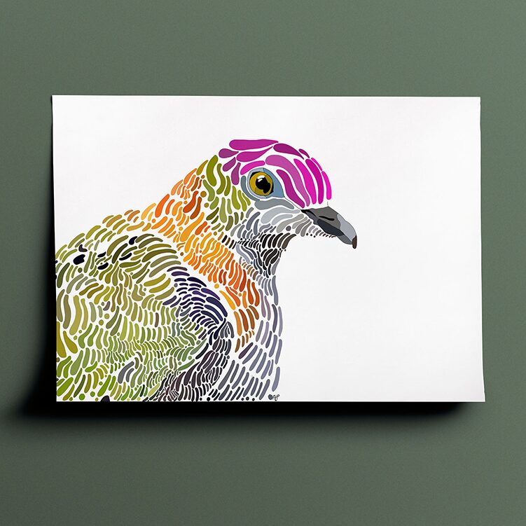 Amelia's interpenetration and vision of a superb fruit dove in various shades of grey, green, orange and pink done in a terrazzo type style. The drawing is a side view of the bird's head and upper body placed in the bottom left corner of the page and facing to the right.