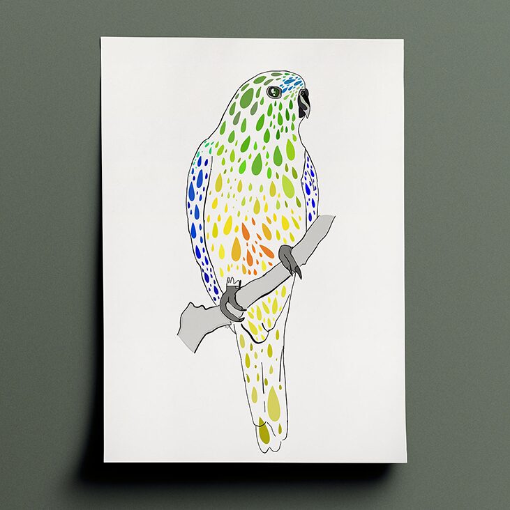 Amelia's interpenetration and vision of a orange-bellied parrot in various shades of grey, yellow, orange, green and blue done in a terrazzo type style. The drawing is a front view of the bird perched on a branch who is facing to the right of the page.
