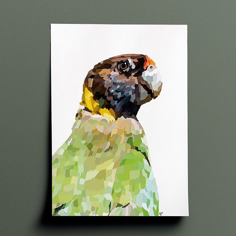 Amelia's interpenetration and vision of a Australian Ringneck in various shades of green, yellow, brown and orange done in a block, shaded patchwork type style. The drawing is a side view of the birds head and upper body who is facing to the right of the page.