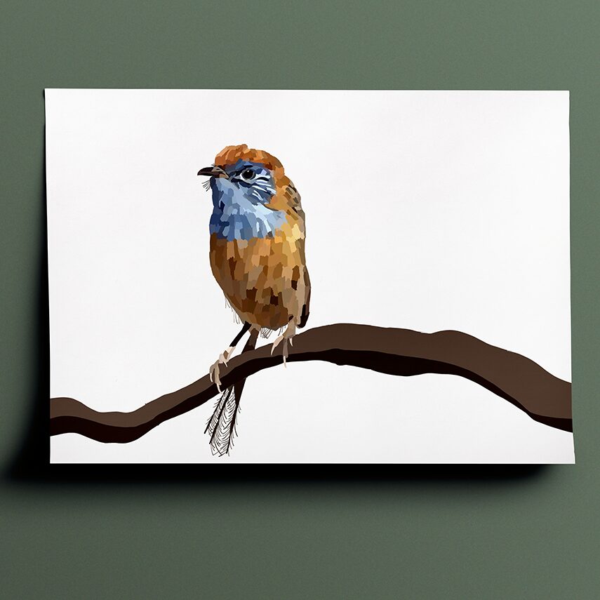 Amelia's interpenetration and vision of a Mallee emu-wren in various shades of brown and blue done in a block, shaded patchwork type style. The drawing is a front on view of the bird perched on a branch with his head facing the left of the page.