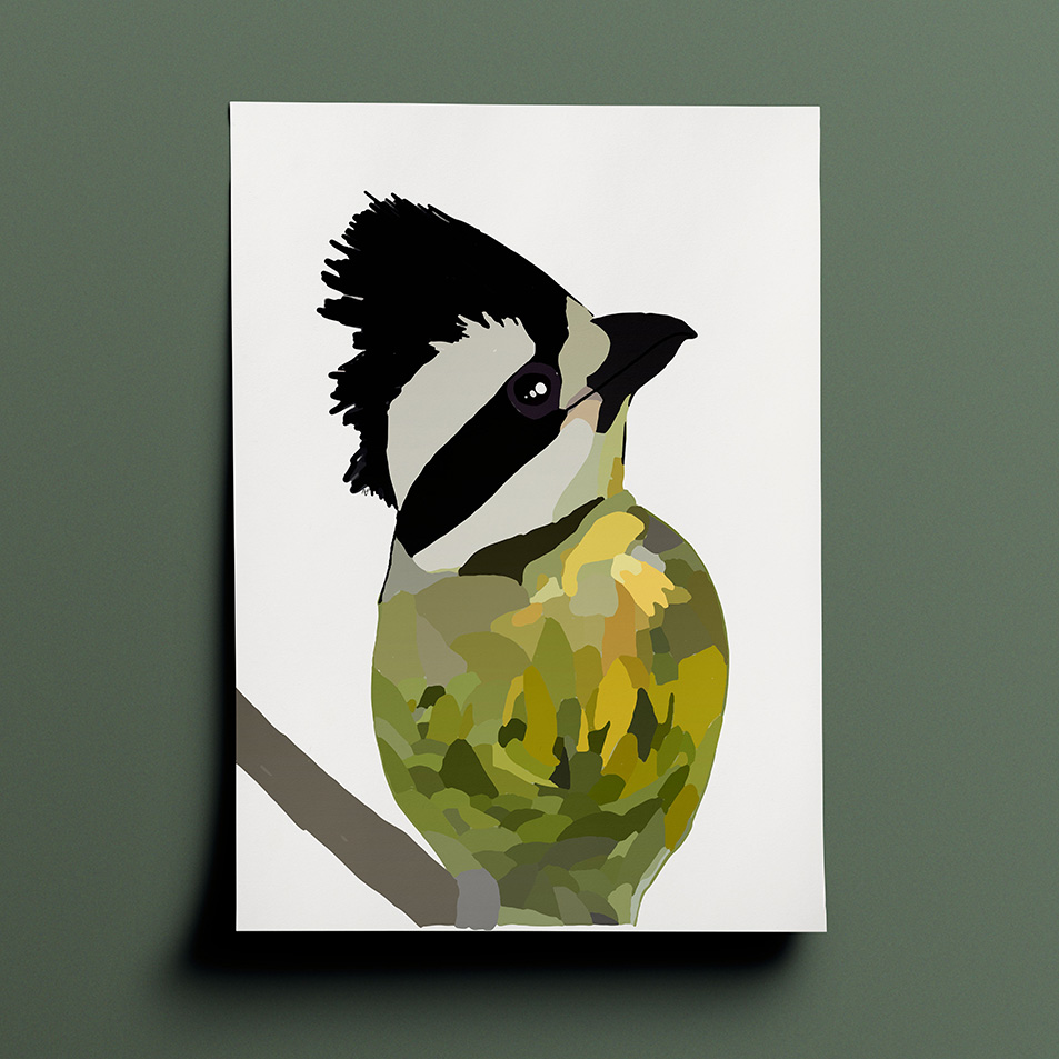 Amelia's interpenetration and vision of a Crested Shrike-Tit in various shades of green, brown, black and grey done in a block, shaded patchwork type style. The drawing is a rear view of the bird who is perched on a branch with its head facing to the right of the page.