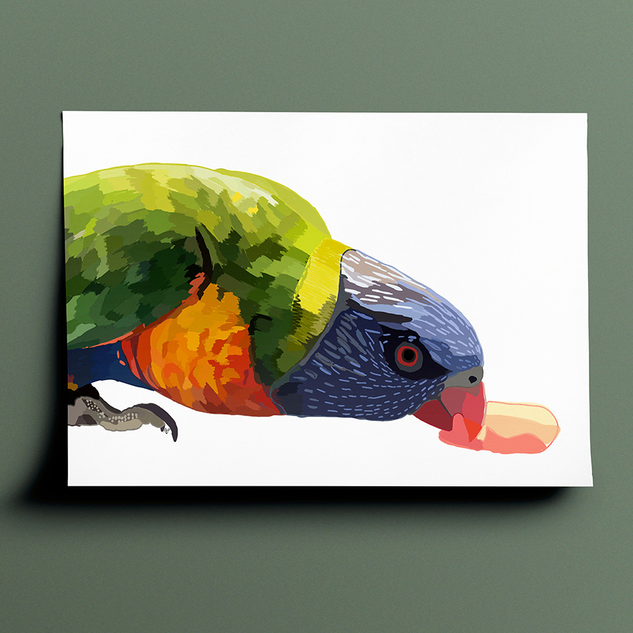 Amelia's interpenetration and vision of a rainbow lorikeet in various shades of blue, green, orange, red, yellow and grey done in a block, shaded patchwork type style. The drawing is a side view of the bird who is perched on the ground mid bite of food. The bird is facing the right side of the page and only his one claw, shoulders and head are shown.
