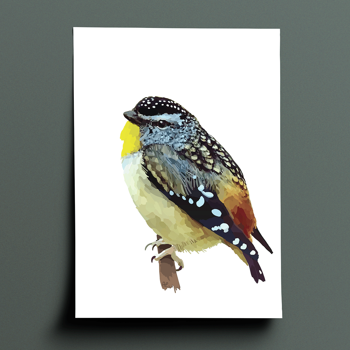 Tiny colorful bird with short stubby bill, bright red patch on rump, and entirely white eyebrow.